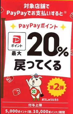 【終了】PayPay最大20%ポイント還元キャンペーン